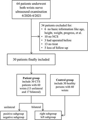 Evaluation of the Transverse Carpal Ligament in Carpal Tunnel Syndrome by Shear Wave Elastography: A Non-Invasive Approach of Diagnosis and Management